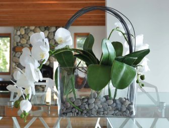 white orchids
