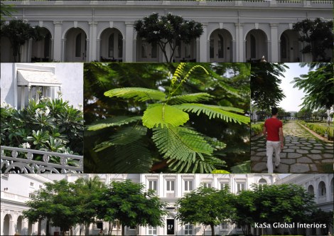 151102_B'day at Falaknuma Palace